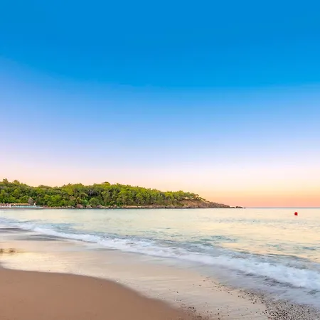 Leodikya Kirman Premium Okurcalar