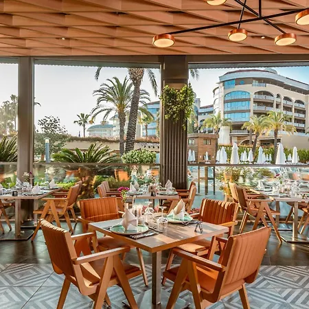 Leodikya Kirman Premium