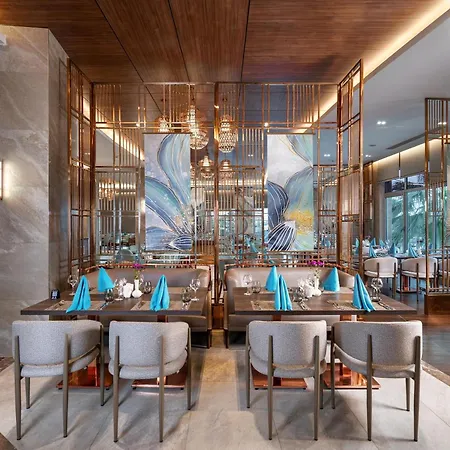 Complex Leodikya Kirman Premium Okurcalar