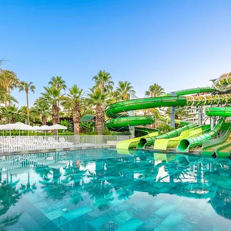 Complex Leodikya Kirman Premium Okurcalar