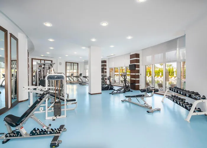 Leodikya Kirman Premium