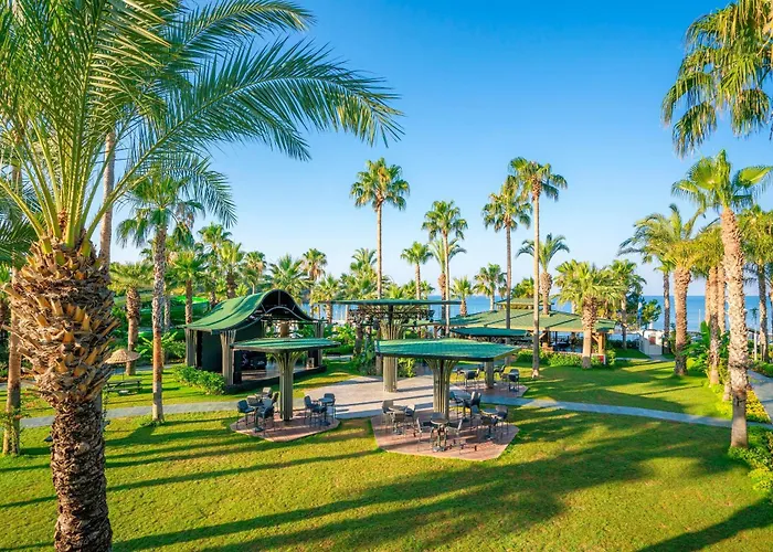 Leodikya Kirman Premium 5* Okurcalar